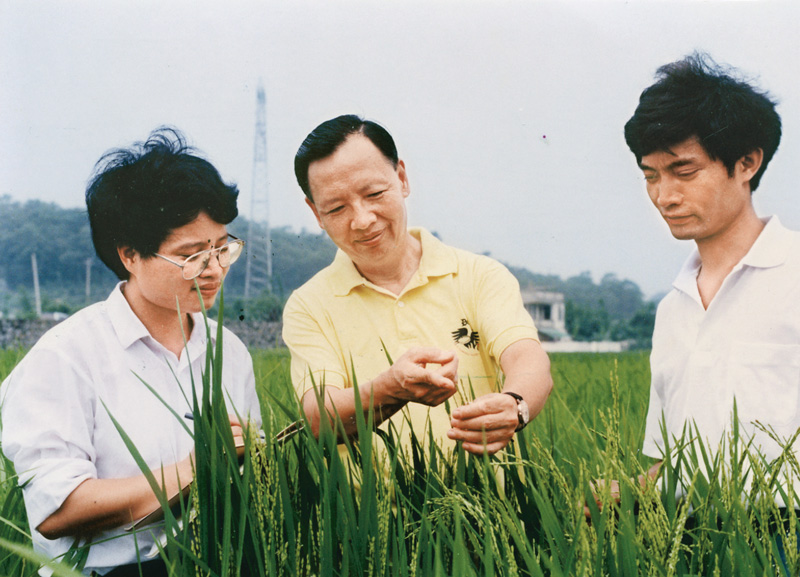 卢永根（中）在水稻试验地指导博士研究生（资料照片）。新华社发（华南农业大学供图）.jpg