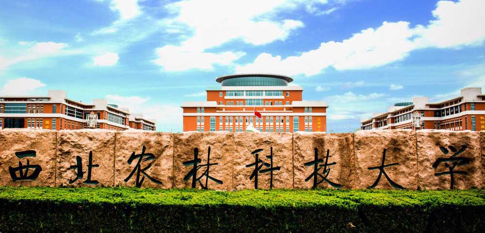 西北农林科技大学.jpg