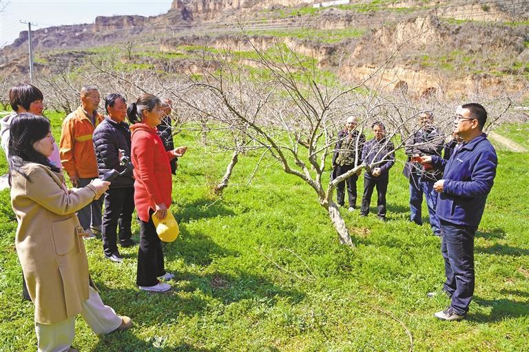 3月25日，在西安市临潼区龙河石榴专业合作社，张迎军（右一）给果农讲解春季石榴修剪技术。 本报记者 肖倩摄.jpg